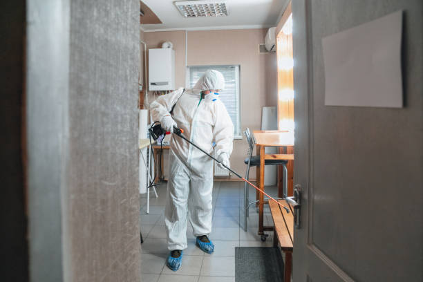 Arden Hills, MN Mold Inspection, Removal & Remediation Company